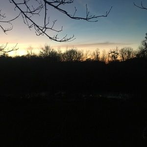 Meet your Posher, Shane